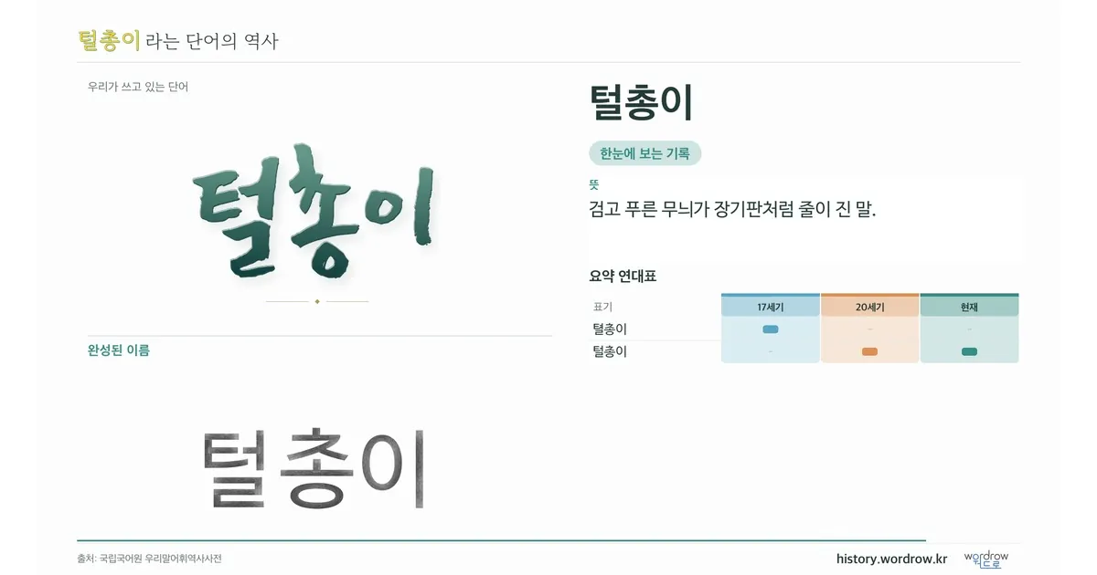 털총이 대표 이미지