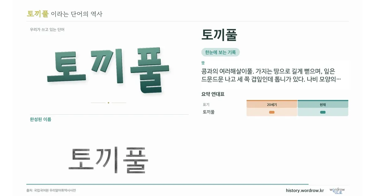 토끼풀 대표 이미지