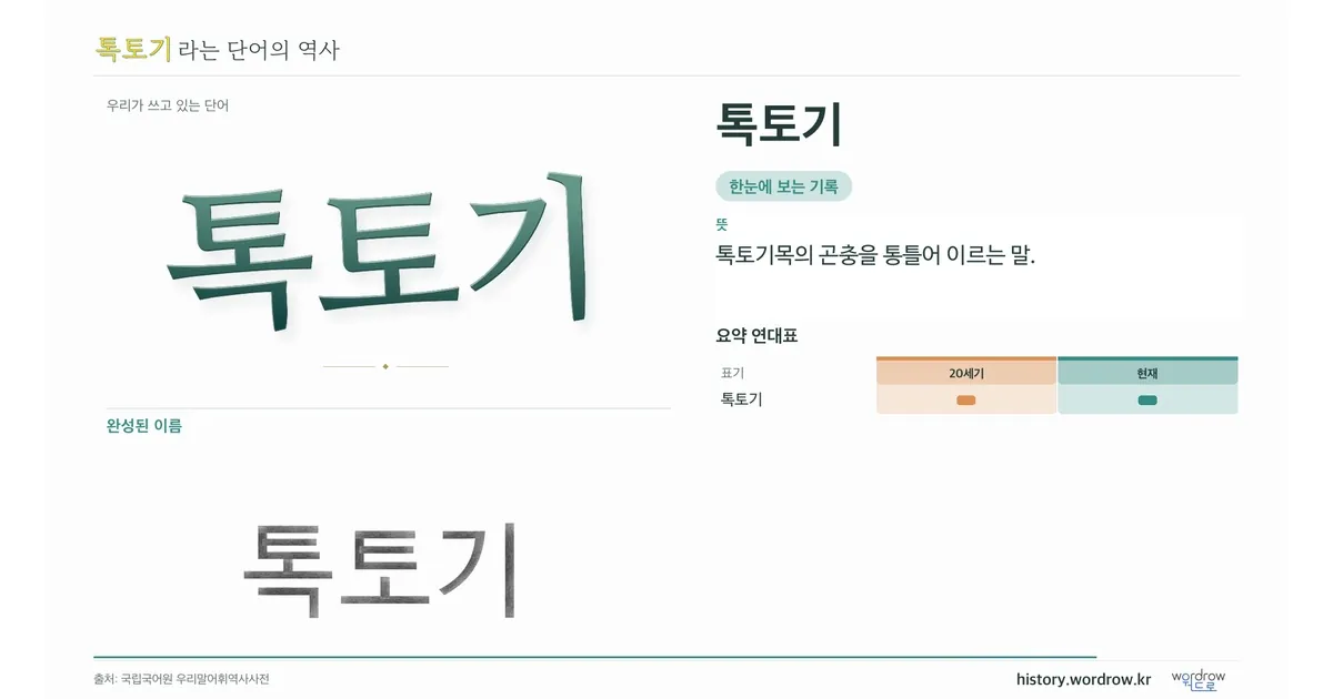톡토기 대표 이미지