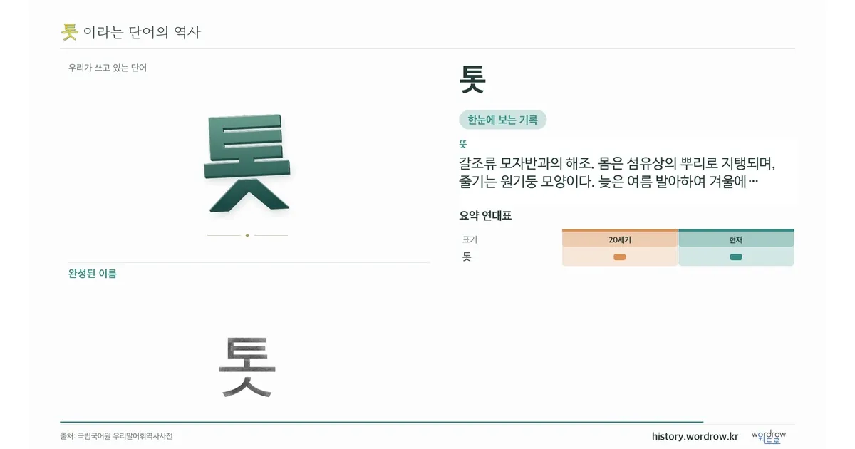 톳 대표 이미지