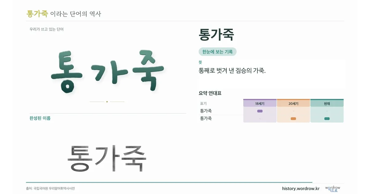통가죽 대표 이미지