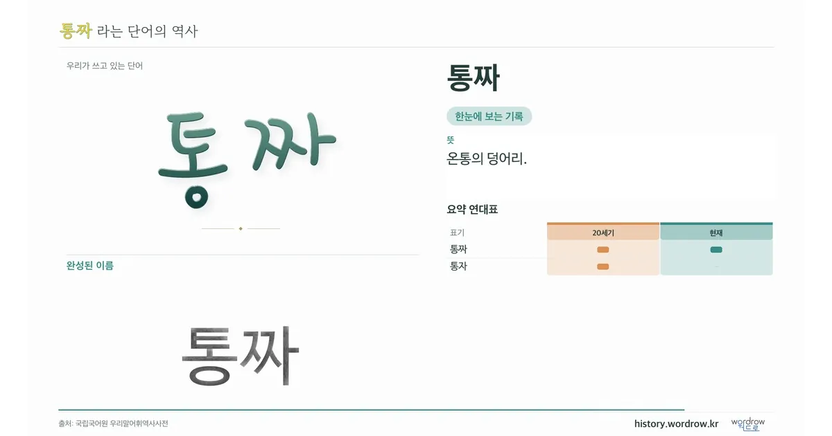통짜 대표 이미지