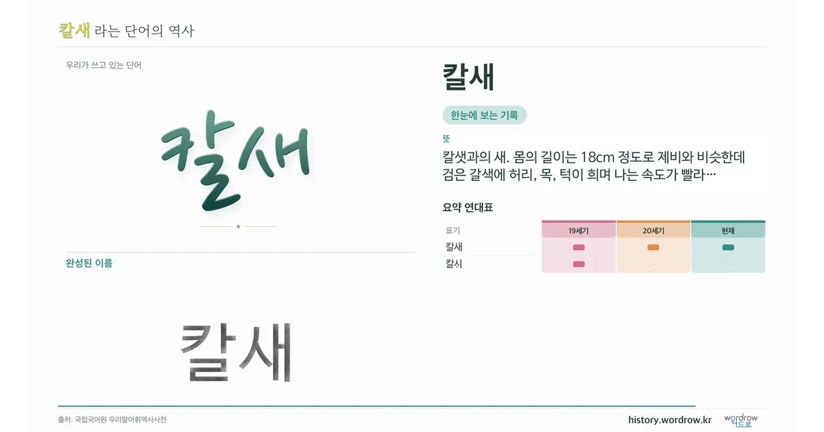 칼새 대표 이미지