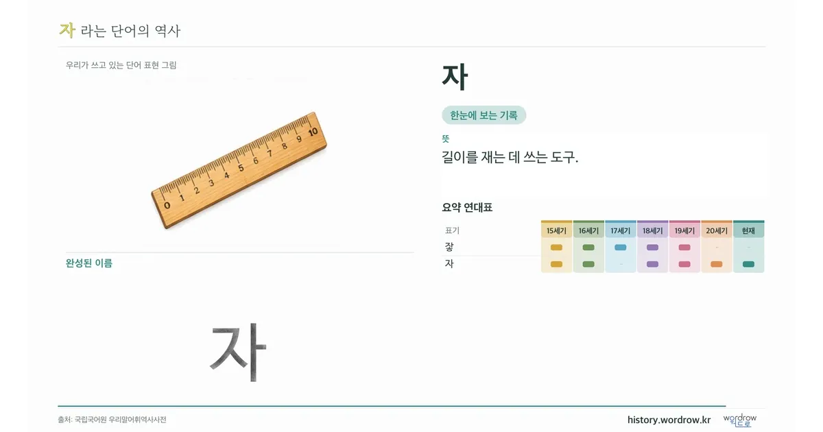 자 대표 이미지