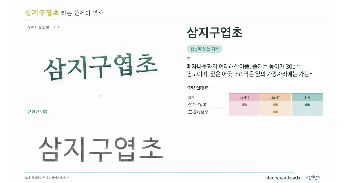 삼지구엽초 대표 이미지