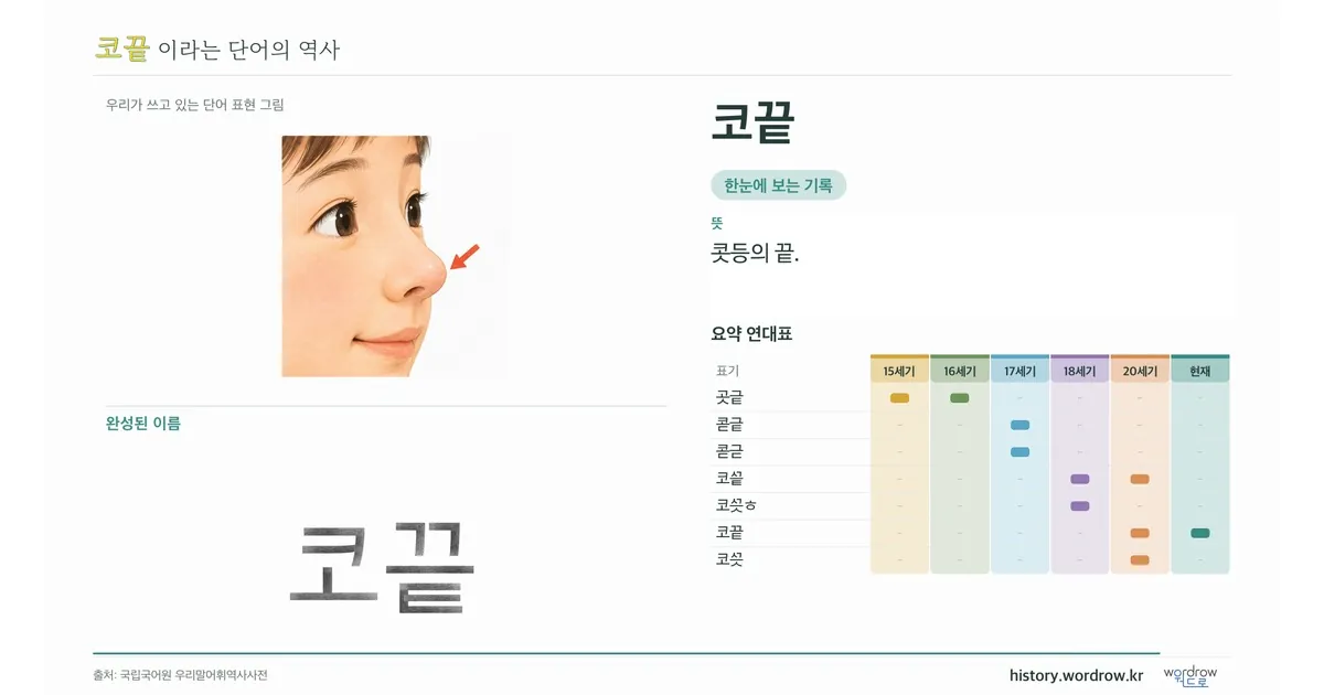 코끝 대표 이미지