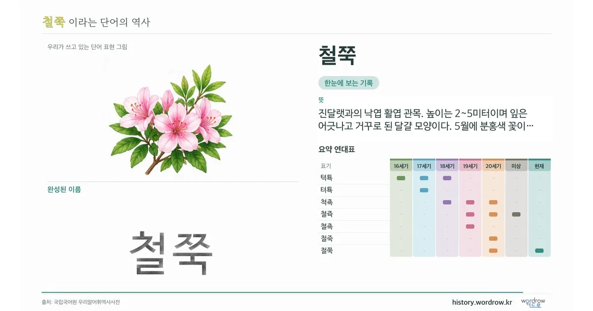 철쭉 대표 이미지