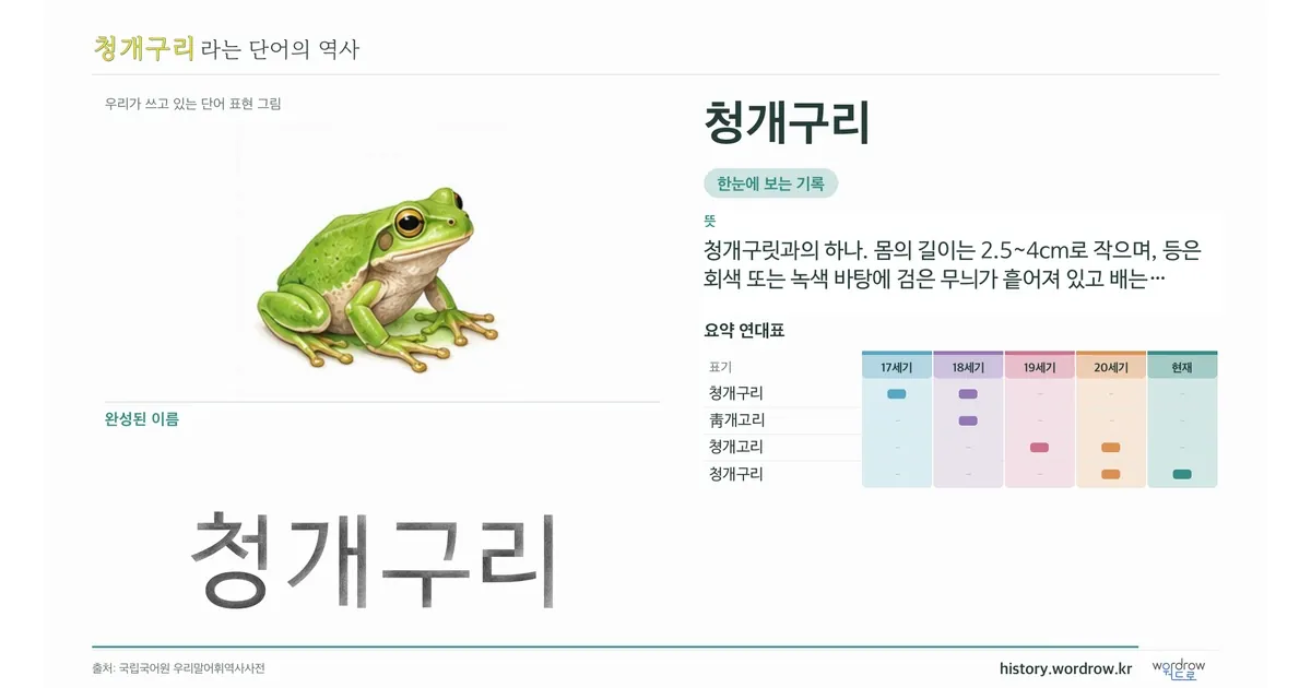 청개구리 대표 이미지