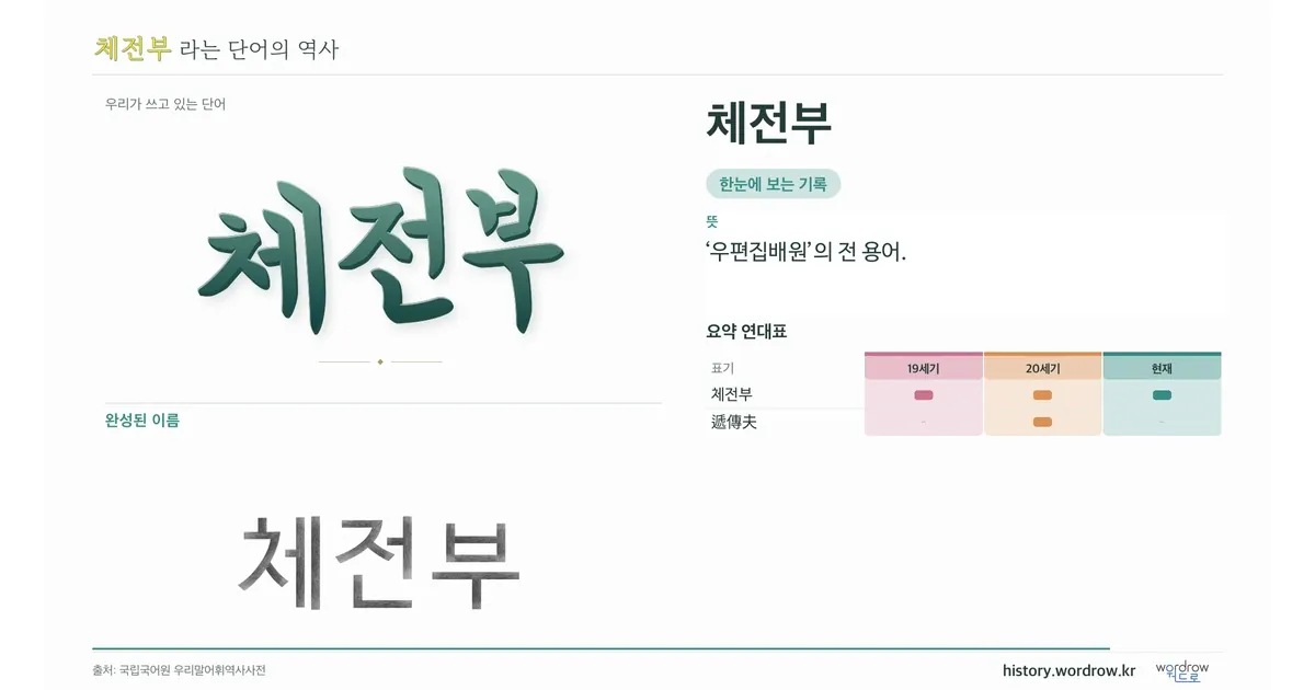 체전부 대표 이미지