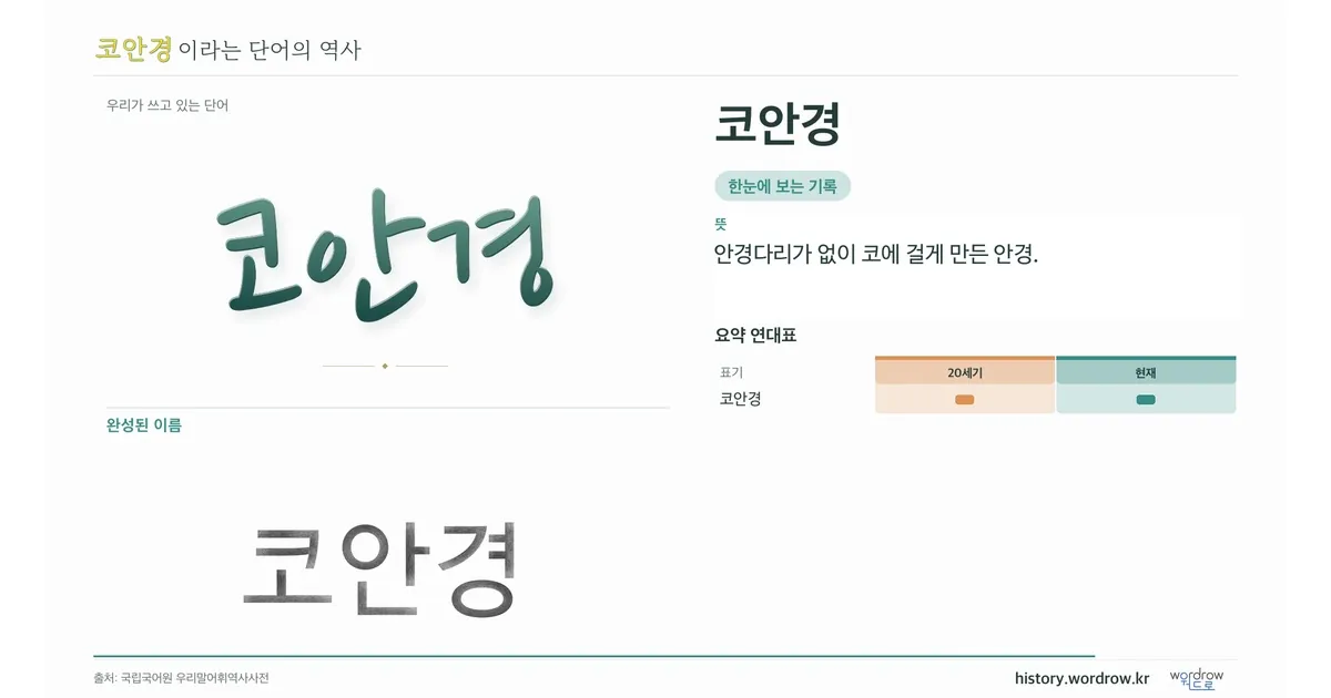 코안경 대표 이미지