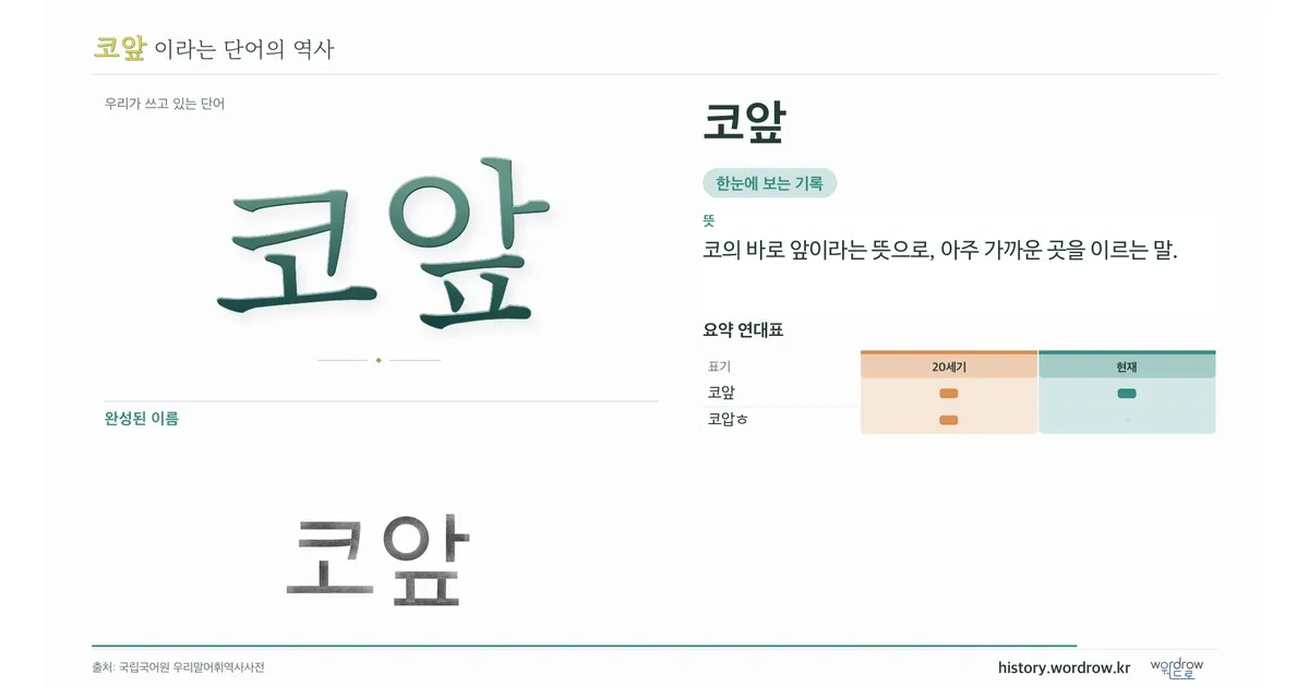 코앞 대표 이미지