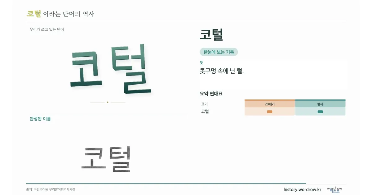 코털 대표 이미지