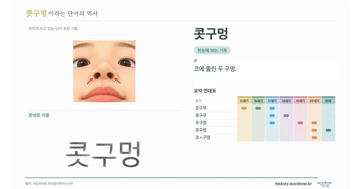 콧구멍 대표 이미지