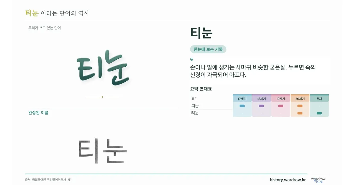 티눈 대표 이미지