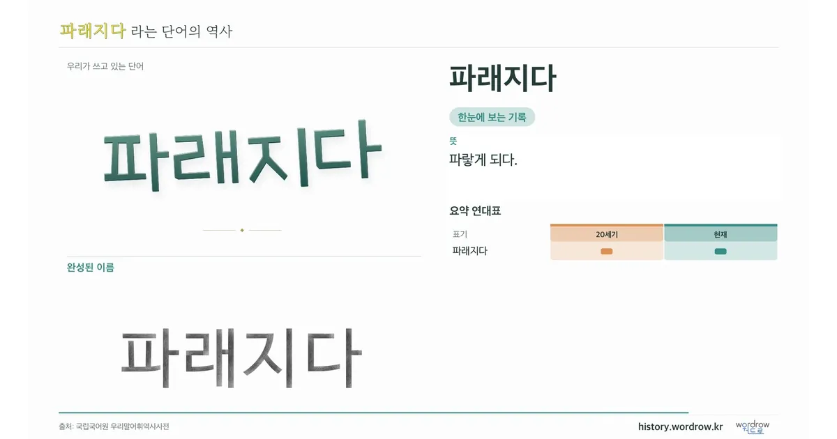 파래지다 대표 이미지