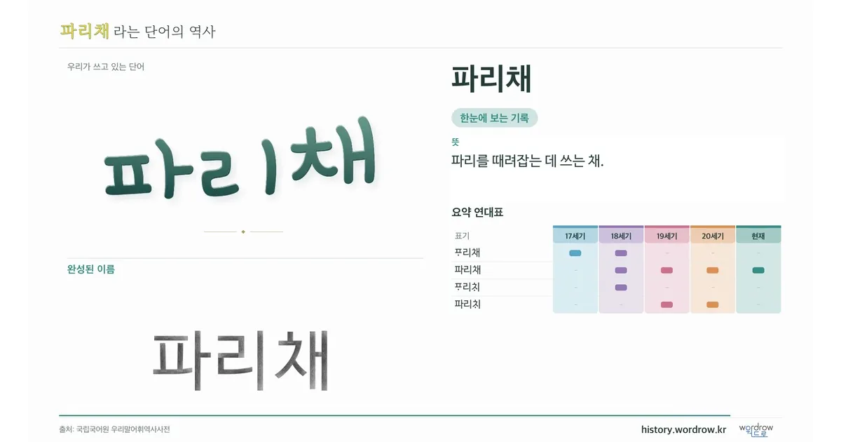 파리채 대표 이미지