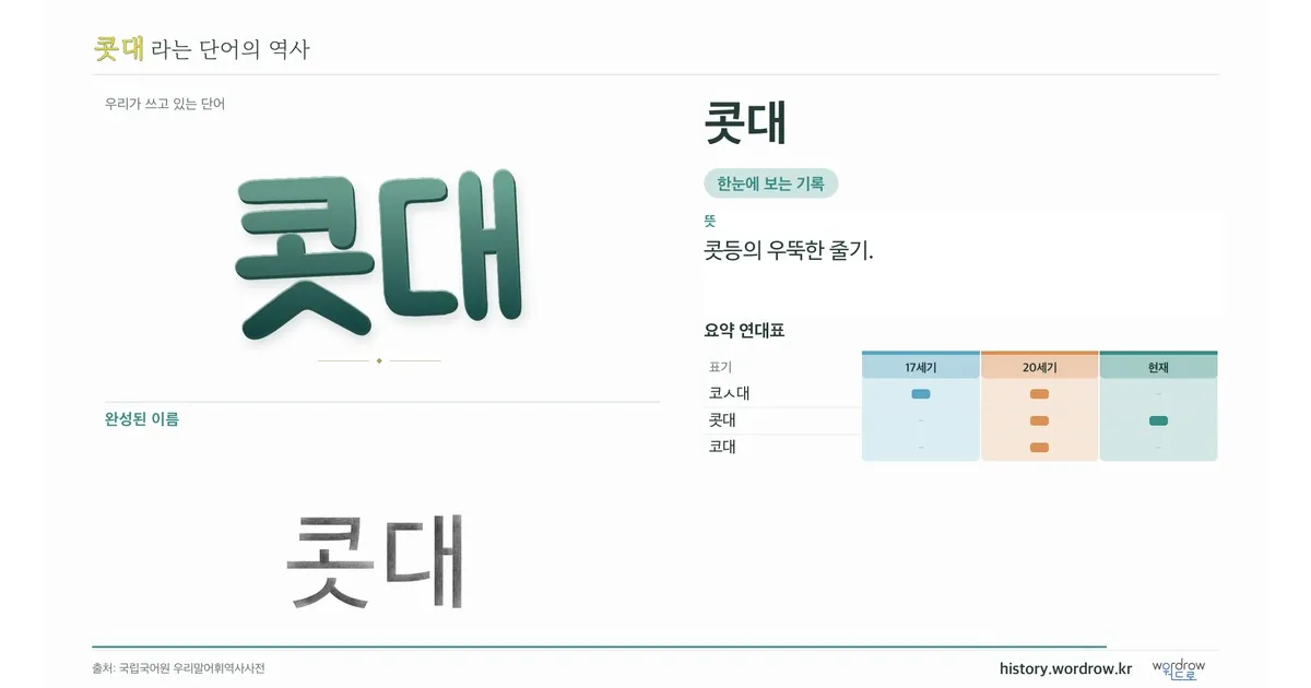 콧대 대표 이미지