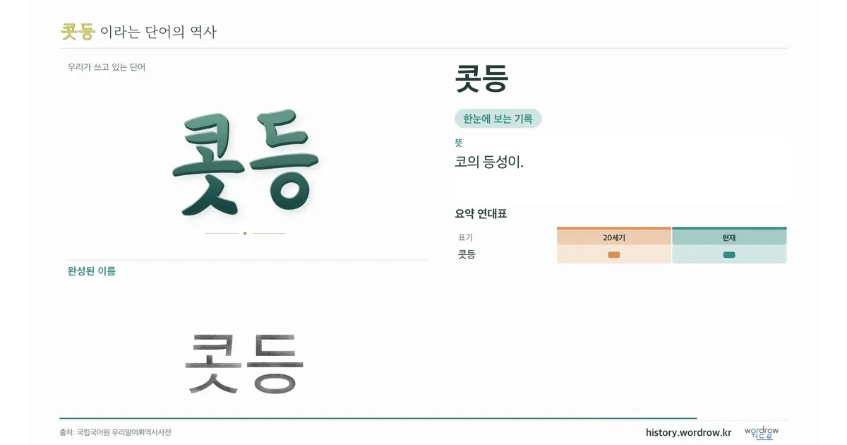 콧등 대표 이미지