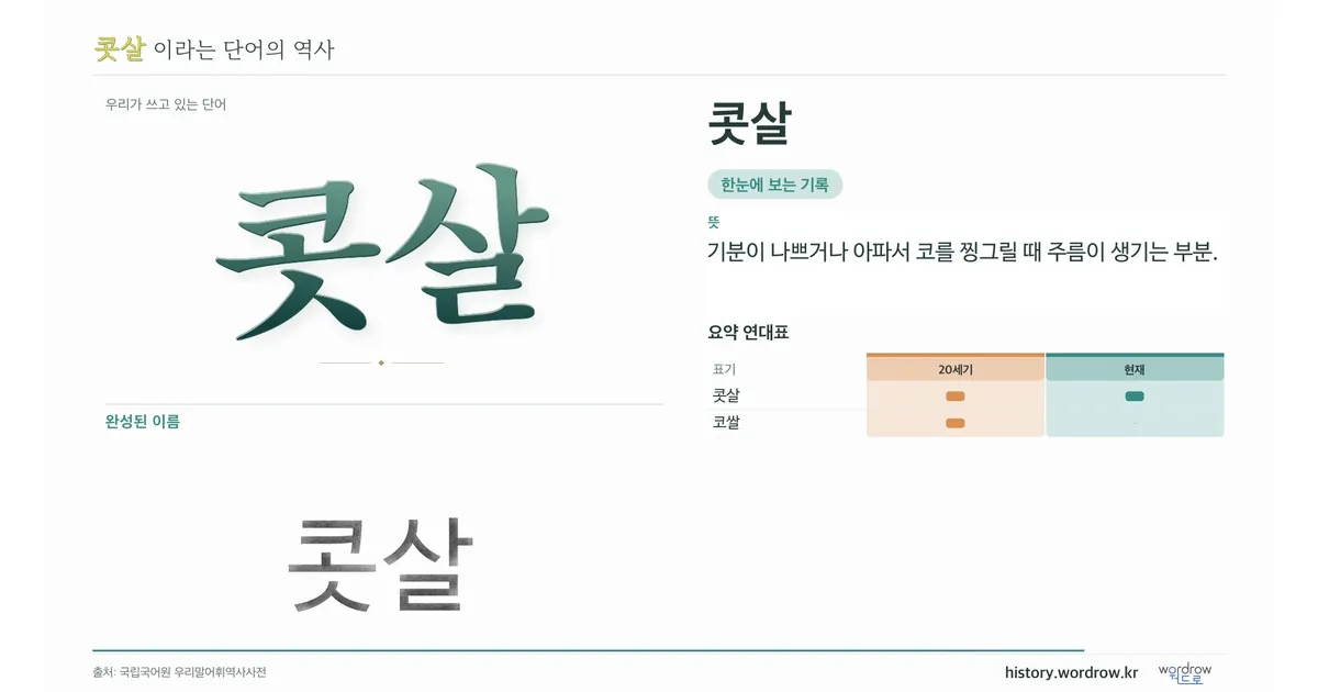 콧살 대표 이미지