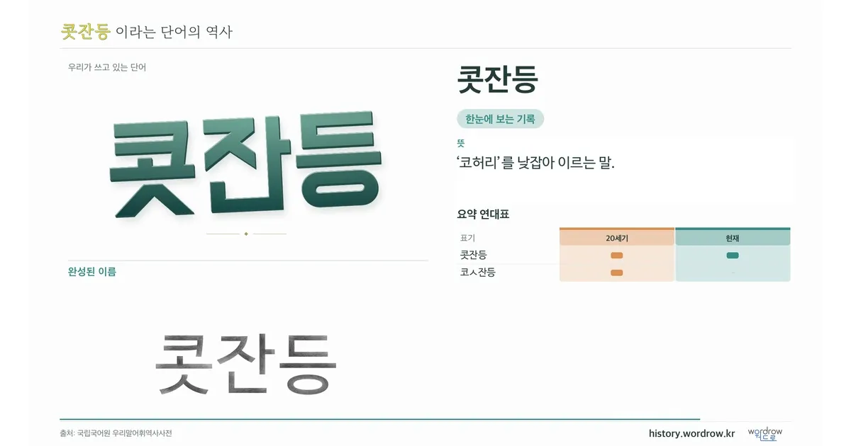 콧잔등 대표 이미지