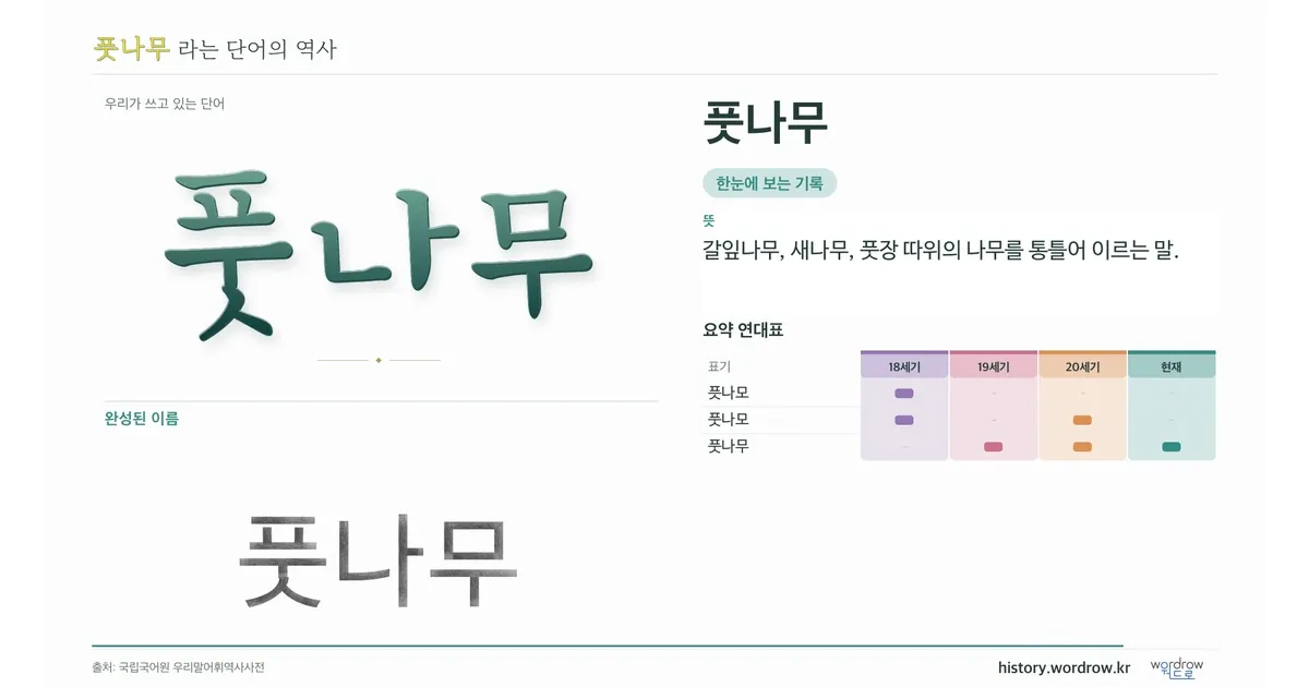 풋나무 대표 이미지
