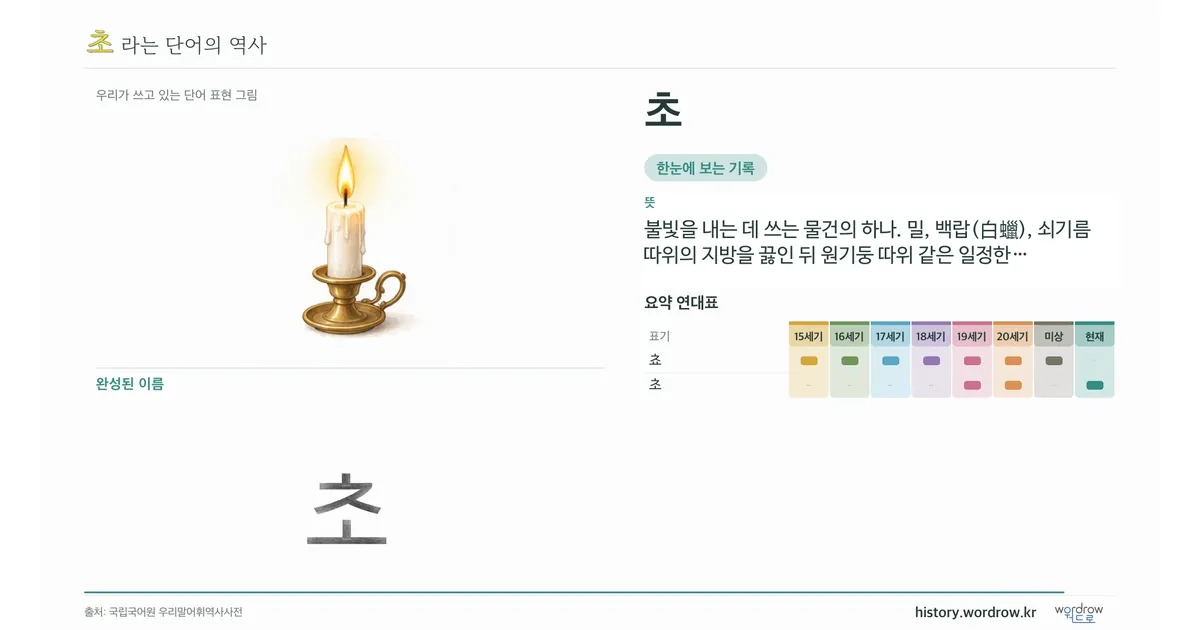 초 대표 이미지