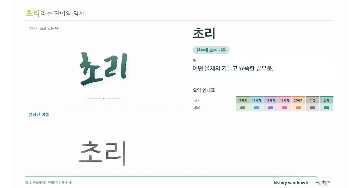 초리 대표 이미지
