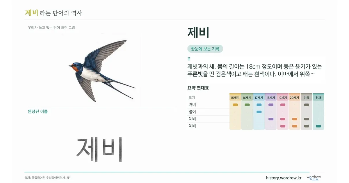 제비 대표 이미지
