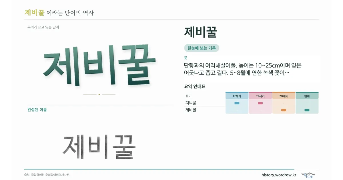제비꿀 대표 이미지