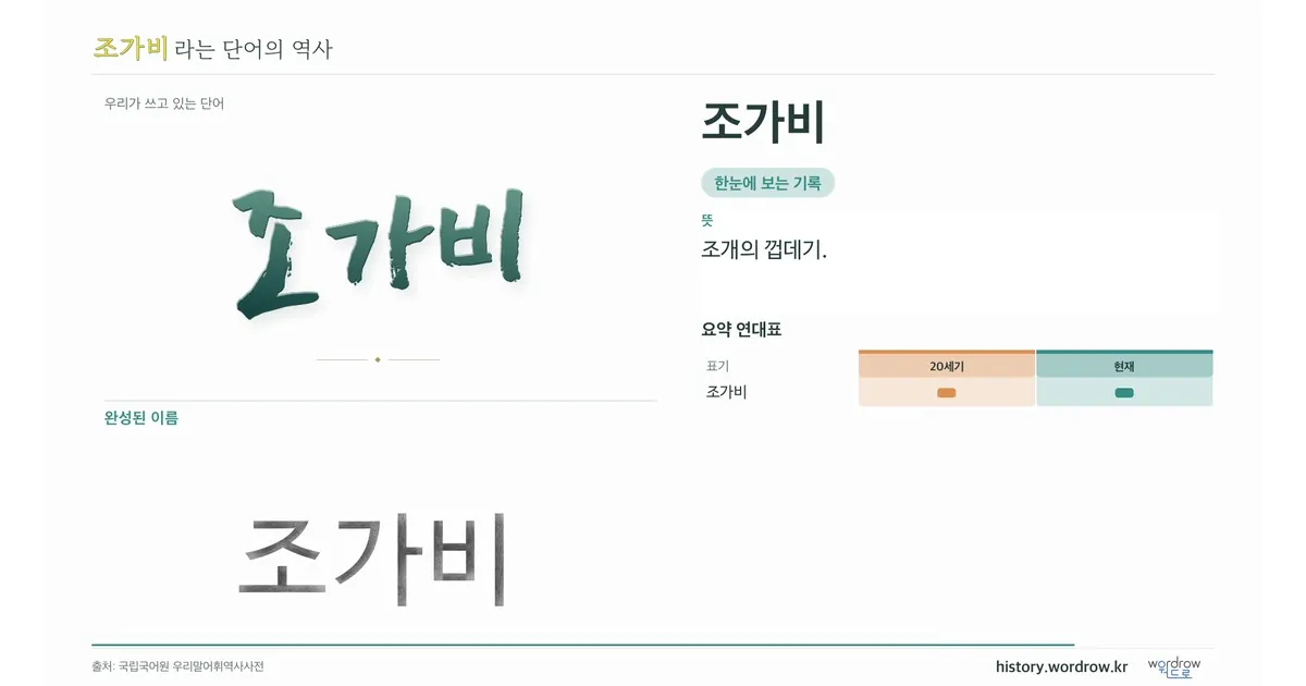 조가비 대표 이미지