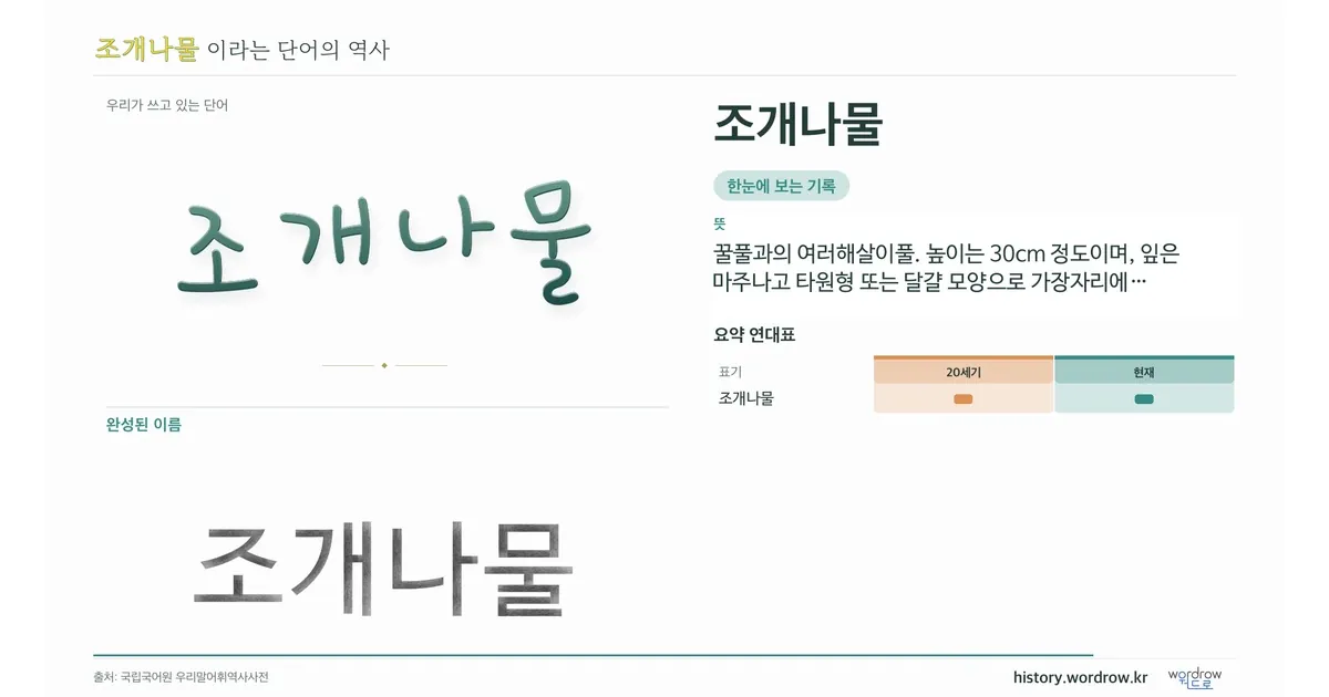 조개나물 대표 이미지