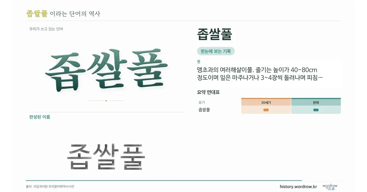 좁쌀풀 대표 이미지