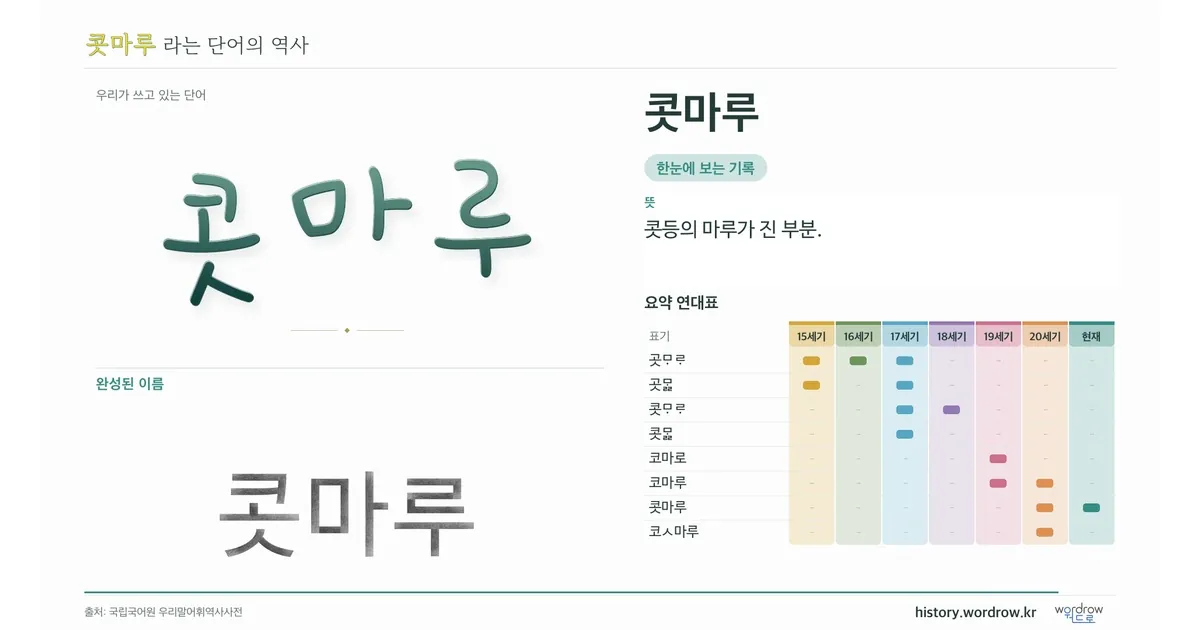 콧마루 대표 이미지