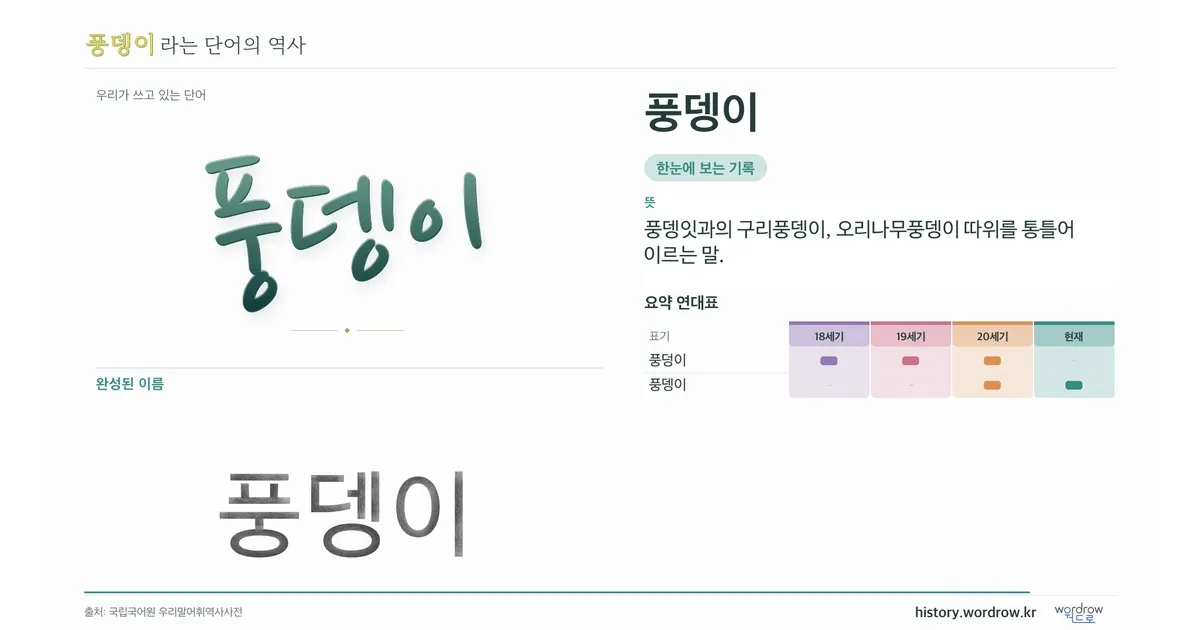 풍뎅이 대표 이미지