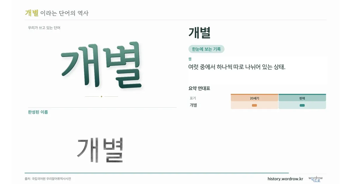 개별 대표 이미지
