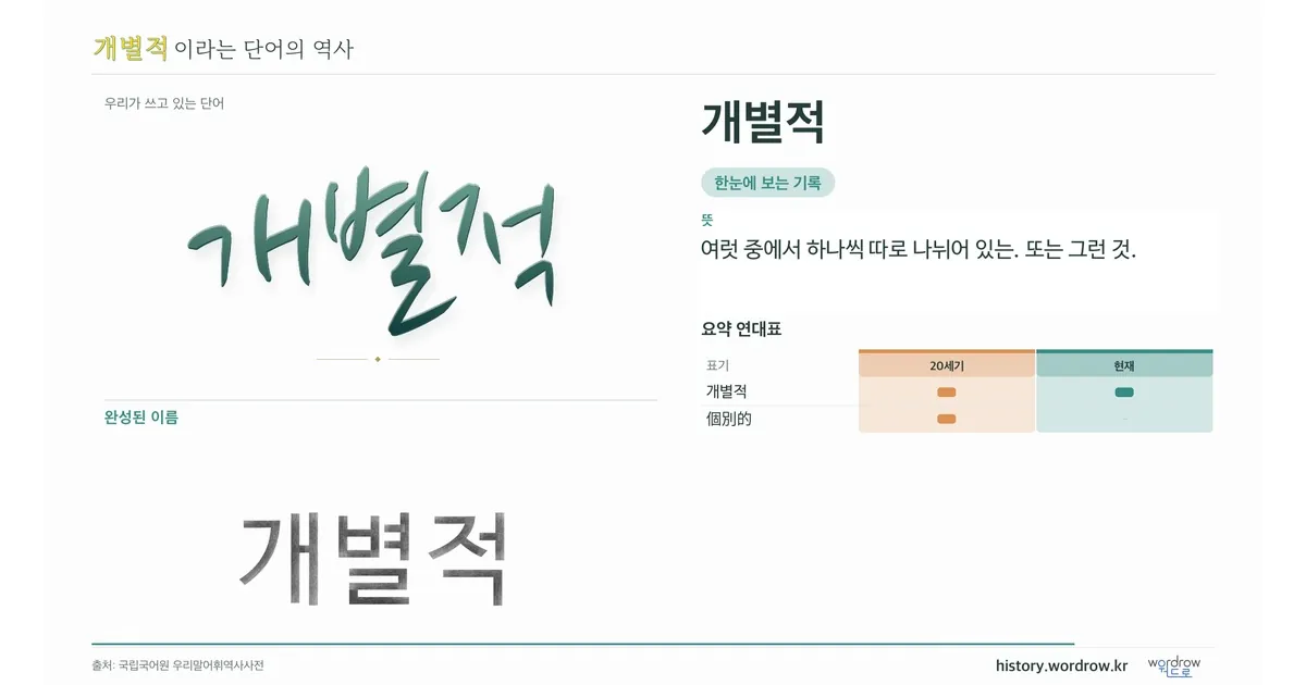 개별적 대표 이미지
