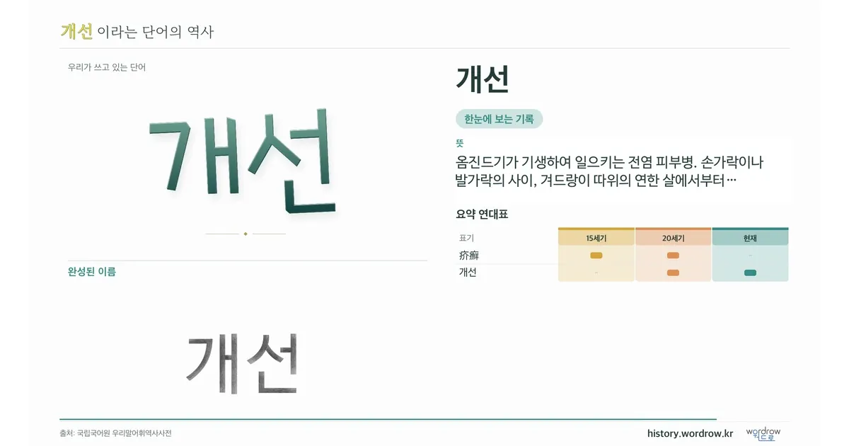 개선 대표 이미지