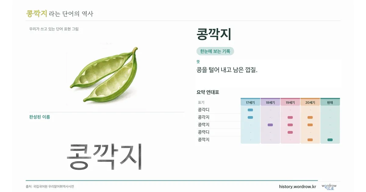 콩깍지 대표 이미지