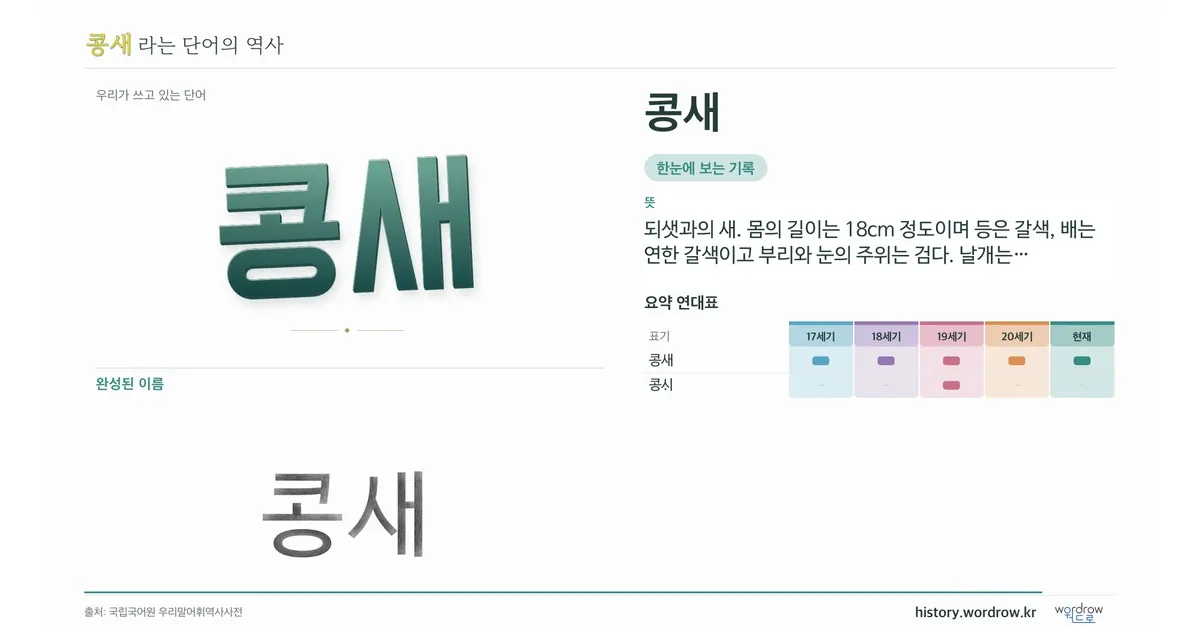 콩새 대표 이미지