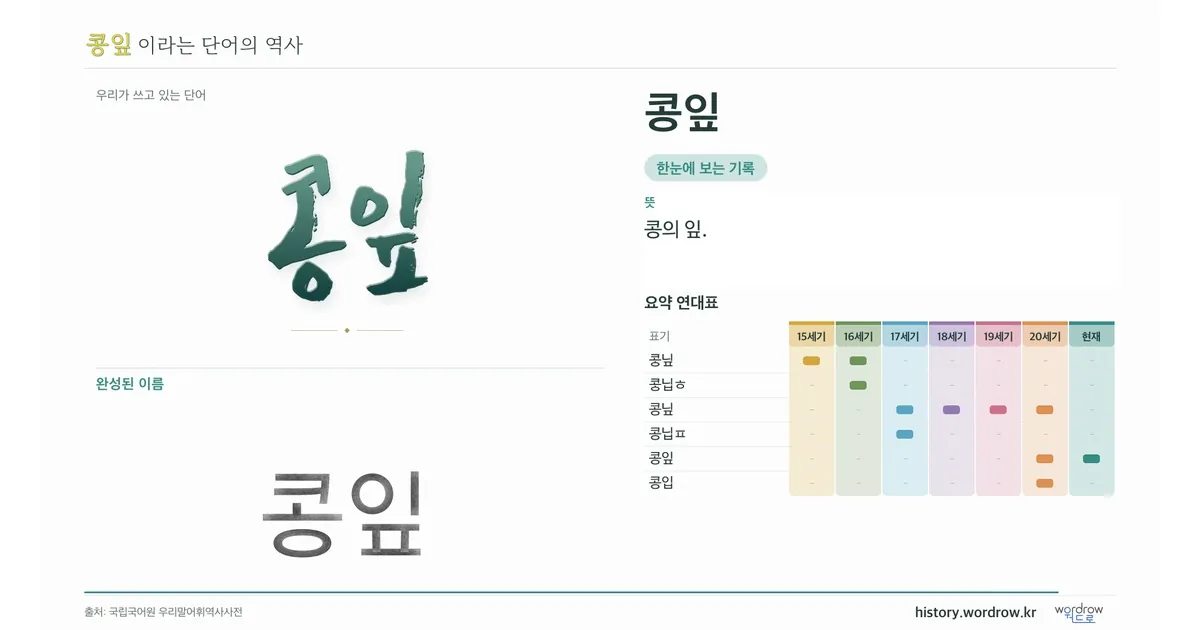 콩잎 대표 이미지