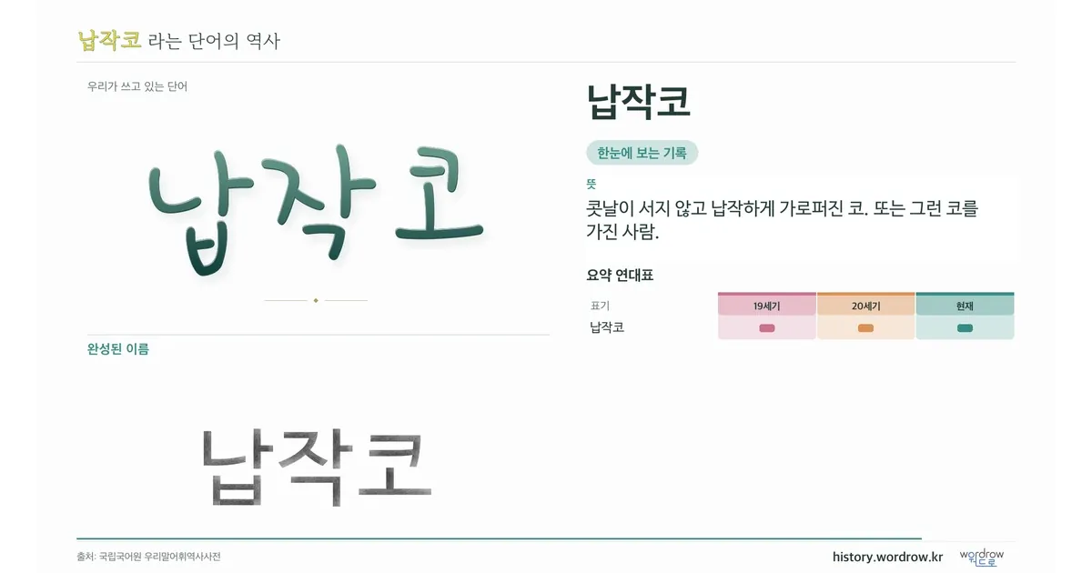 납작코 대표 이미지