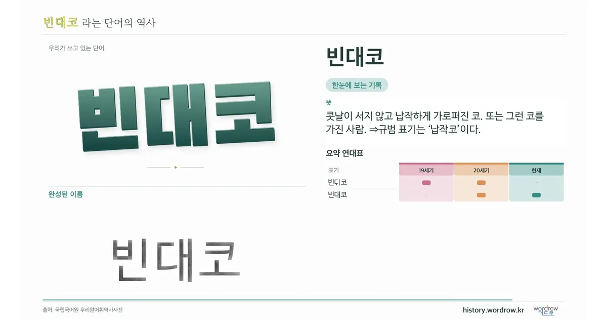 빈대코 대표 이미지