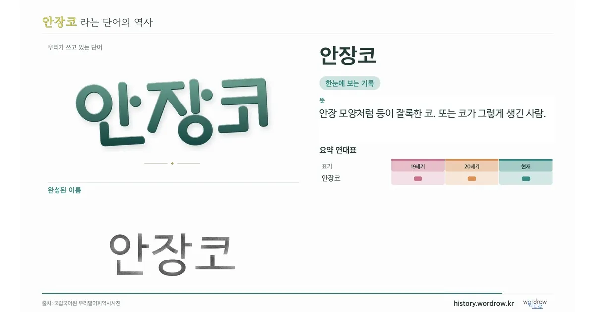 안장코 대표 이미지