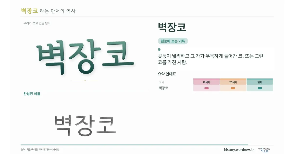 벽장코 대표 이미지