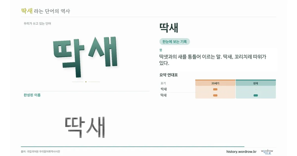 딱새 대표 이미지
