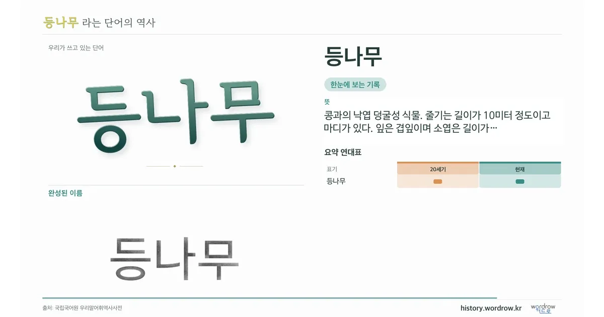 등나무 대표 이미지