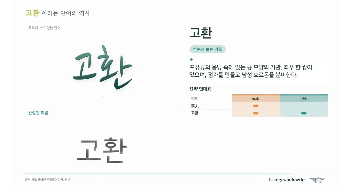 고환 대표 이미지