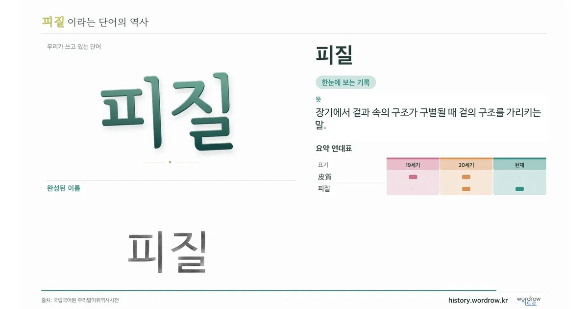 피질 대표 이미지