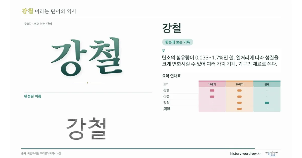 강철 대표 이미지