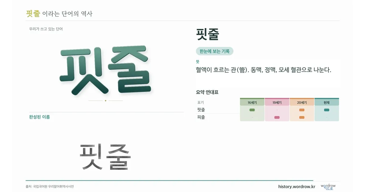 핏줄 대표 이미지